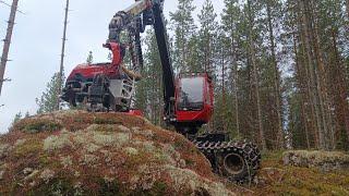 Nuoren metsän kunnostus ennen ja jälkeen hakkuun