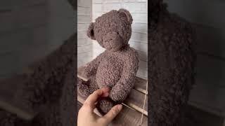 Плюшевый мишка️ Teddy bear