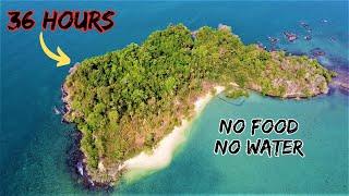 Alone on a Deserted Tropical Island with NO FOOD or WATER  Survival Challenge  Catch and Cook