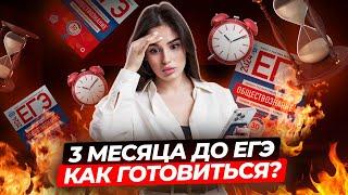 3 месяца до ЕГЭ  Как успеть подготовиться к обществознанию?