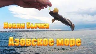 Рыбалка на спиннинг Азовском море Куча бычка Спиннинг