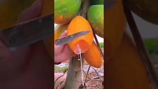 Amazing fruit cutting #shorts #fruit