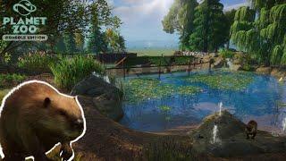 Welcome to the Wetlands Beaver Habitat Build  Planet Zoo Console Edition Franchise Mode  Ep.9 