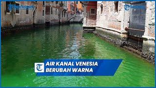 Viral Air Kanal Venesia Italia Mendadak Berubah Warna Hijau Neon