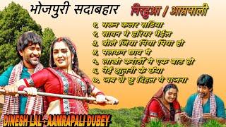 #video  Dinesh Lal Yadav & Amrapali Dubey Song 2024  #dineshlalyadav #amrapalidubey #bhojpurisong