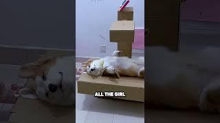 THIS GIRL LEARNS WITH HER DOG