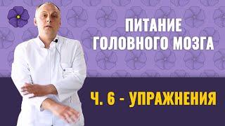 Питание головного мозга ч.6 – упражнения