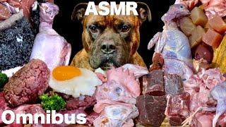 MUKBANG ASMR Dog eating Raw MeatsOmnibus 【American Bully】