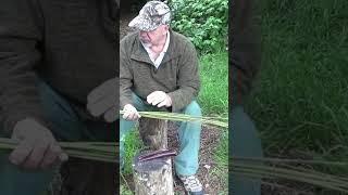 Part 1 - Making Natural Cordage From Stinging Nettles - #shorts