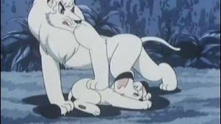 Leo the white lion Leo hurts Rune