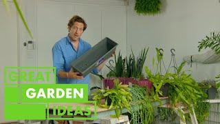 How to Create an Affordable Green Wall  GARDEN  Great Home Ideas