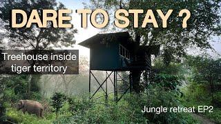 Treehouse inside tiger territory  No other humans around  Wayanad forest stay  Jungle retreat EP2