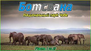 Ботсвана Национальный парк Чобе Часть 1 из 2 1080p