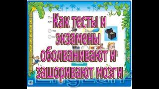 Как тесты и экзамены зашоривают мозги и оболванивают  . Частный преподаватель английского языка