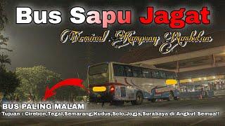 Bus Paling Malam dari Terminal Kampung Rambutan  Ada BUS apa aja sih??