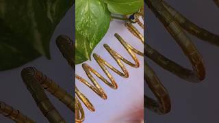 Unboxing Viral bangles from Meesho #unboxing #meesho #unboxingvideo