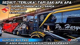  STJ SAMOA  PASUKAN MENORO PO.HARYANTO DLL ‼️ HUNTING AGEN BUS RINGROAD KAPUK - MINGGU 2172024 