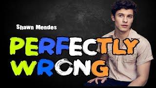 Perfectly Wrong - Shawn Mendes LYRICS