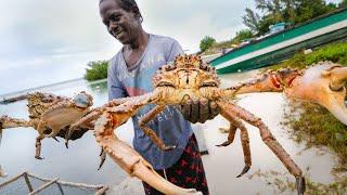Huge Caribbean KING CRAB  RUNDOWN Jamaican Seafood Tour - Jamaica 