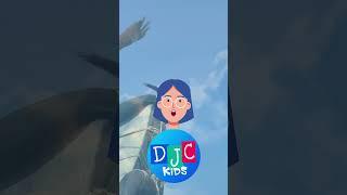 Eagle Euphoria DJC Kids 5 Incredible Facts that Will Make You Soar  #kidslearning #learningisfun