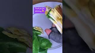 TikTok Famous Tortilla wrap Halal Chicken- Versatile Recipe in Urdu Hindi