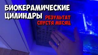 Биокерамические цилиндры  Первый месяц использования