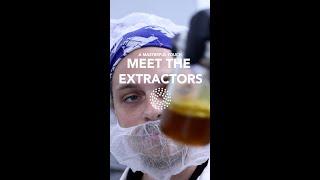 Meet the Extractors Inside Trulieves Concentrates Lab