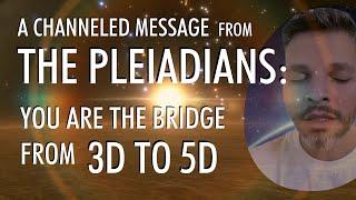 Bridging the GAP Between 3D to 5D In Relationships  A Channeled Message From THE PLEIADIANS