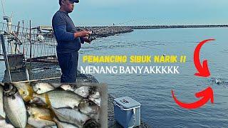 Jam ikan lapar ‼️ Mancing ikan selar di marina ancol  gacor banget dah