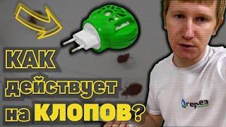 Убивает ли ФУМИГАТОР клопов?