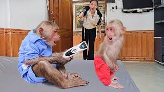 Super funny Mom panicked promptly stopped Kuku cut Monkey Sus hair