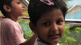 Let’s Visit the ZOO A Trip to Bannerghatta Biological Park with Kids  Learning Zoo Animals