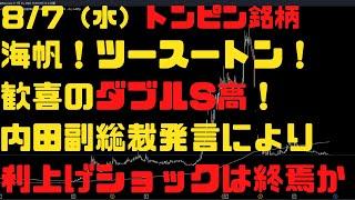 87（水）海帆！ツースートン！歓喜のダブルS高！利上げショックは終焉か？トンピン銘柄