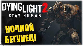 НОЧНОЙ БЕГУНЕЦ - Dying Light 2 Stay Human - ВЕЧЕРНИЙ СТРИМ