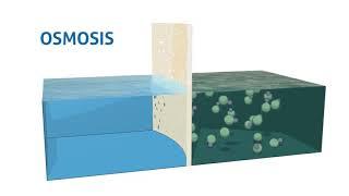 Osmosis vs Reverse Osmosis - Explained Animation