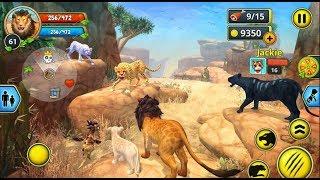 ► Wild Lion The King Of The Jungle - Lion Family Sim Online Area730 Simulator Games Gameplay video