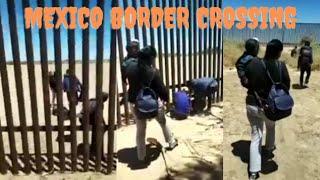 USA Donkey  India To America Mexico Border Crossing  Punjabi FamilY 