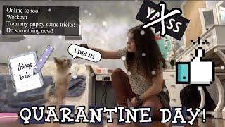 Quarantine day in my life