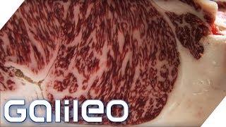 150 Euro pro Portion So schmeckt das edelste Fleisch der Welt  Galileo  ProSieben