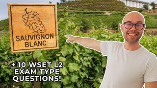 Sauvignon Blanc Everything You Need to Know—WSET Level 2 in Wines +10 WSET exam-type questions