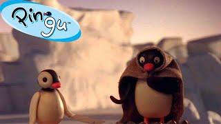 Pingus Favorite Time of the Year   Pingu - Official Channel  Cartoons For Kids
