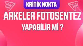 ARKELER FOTOSENTEZ YAPABİLİR Mİ ?