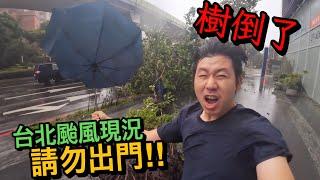 康芮颱風台北現況！大家請勿出門，這是我人生中最可怕的颱風