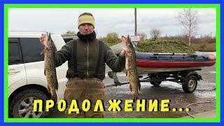 Щука. Рыбалка в Креницах. Ладога