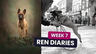 Week 7 Removing Rens Training Wheels & Bryt Detoxing