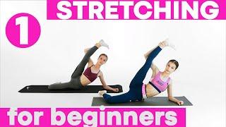 STRETCHING EXERCISES for BEGINNERS 1st video from 3