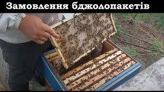 Розпочався запис на бджолопакети від Кривенко Олександра. Ціни на мед і на бджіл 2024
