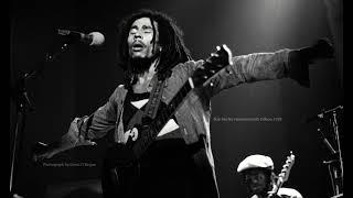 Bob Marley & The Wailers - Rat Race - War - Get Up Stand Up Hammersmith Odeon 1976