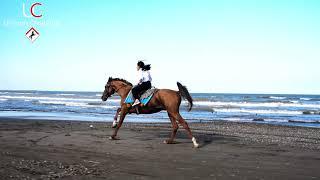 She riding horse 11 year Gulay Farzaliyeva at belinde 11 yasli qiz at capar