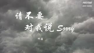 请不要对我说sorry - 何洁「不要再抱歉以为　能给我安慰」【动态歌词Pinyin Lyrics】